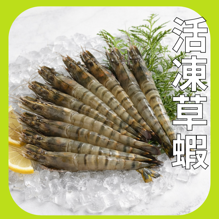 10P活凍草蝦