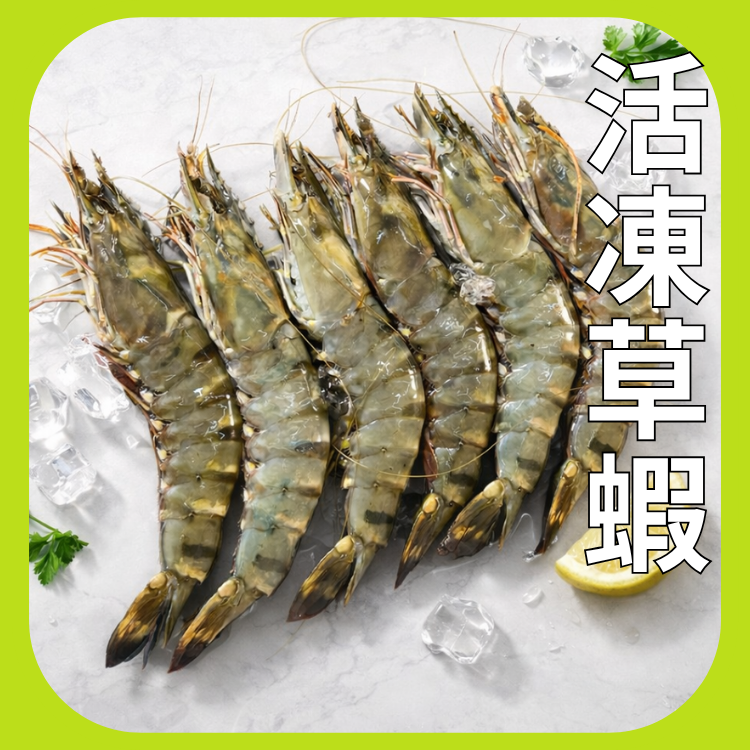 6P活凍草蝦