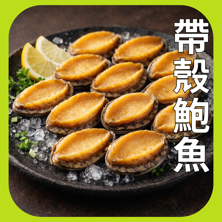 帶殼鮑魚禮盒（12P）