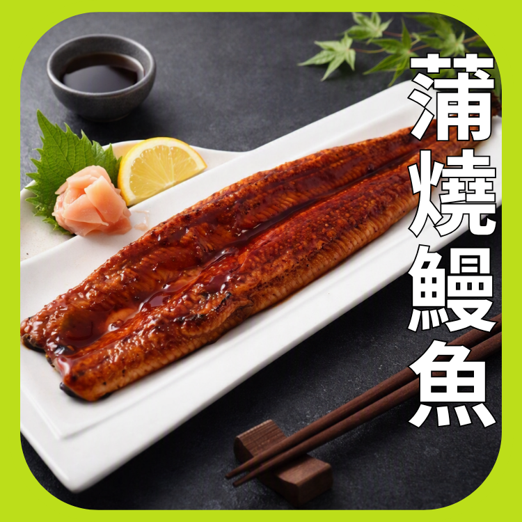蒲燒鰻魚