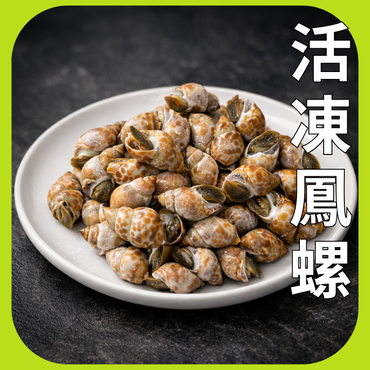 活凍鳳螺