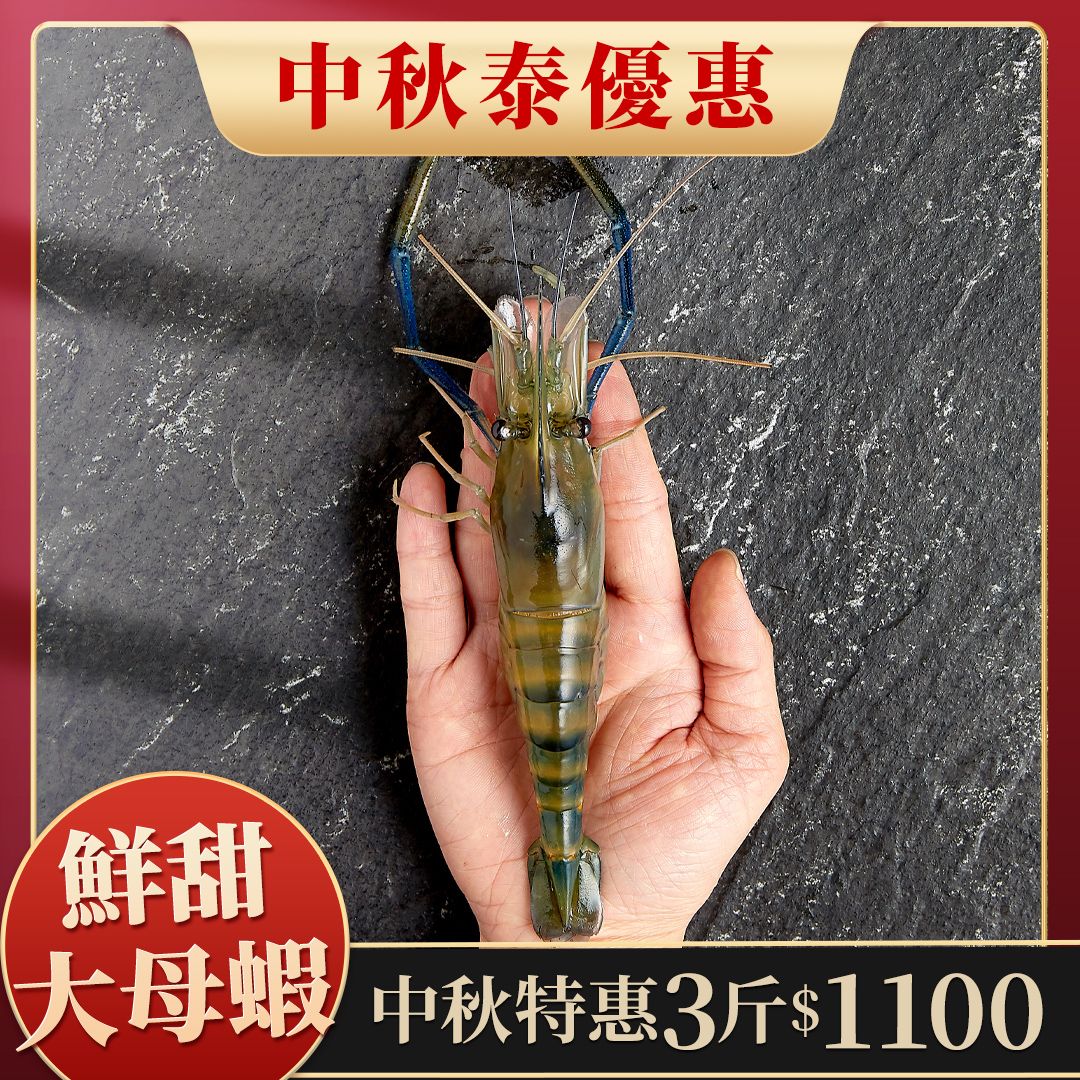 大母蝦超殺優惠組-3斤只要1100元