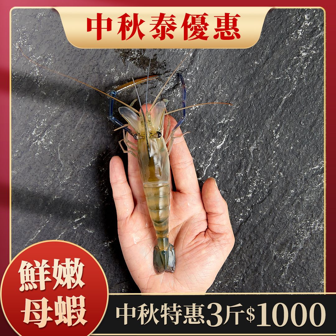 【中秋泰優惠】母蝦 3斤1000元 1斤約15~19隻