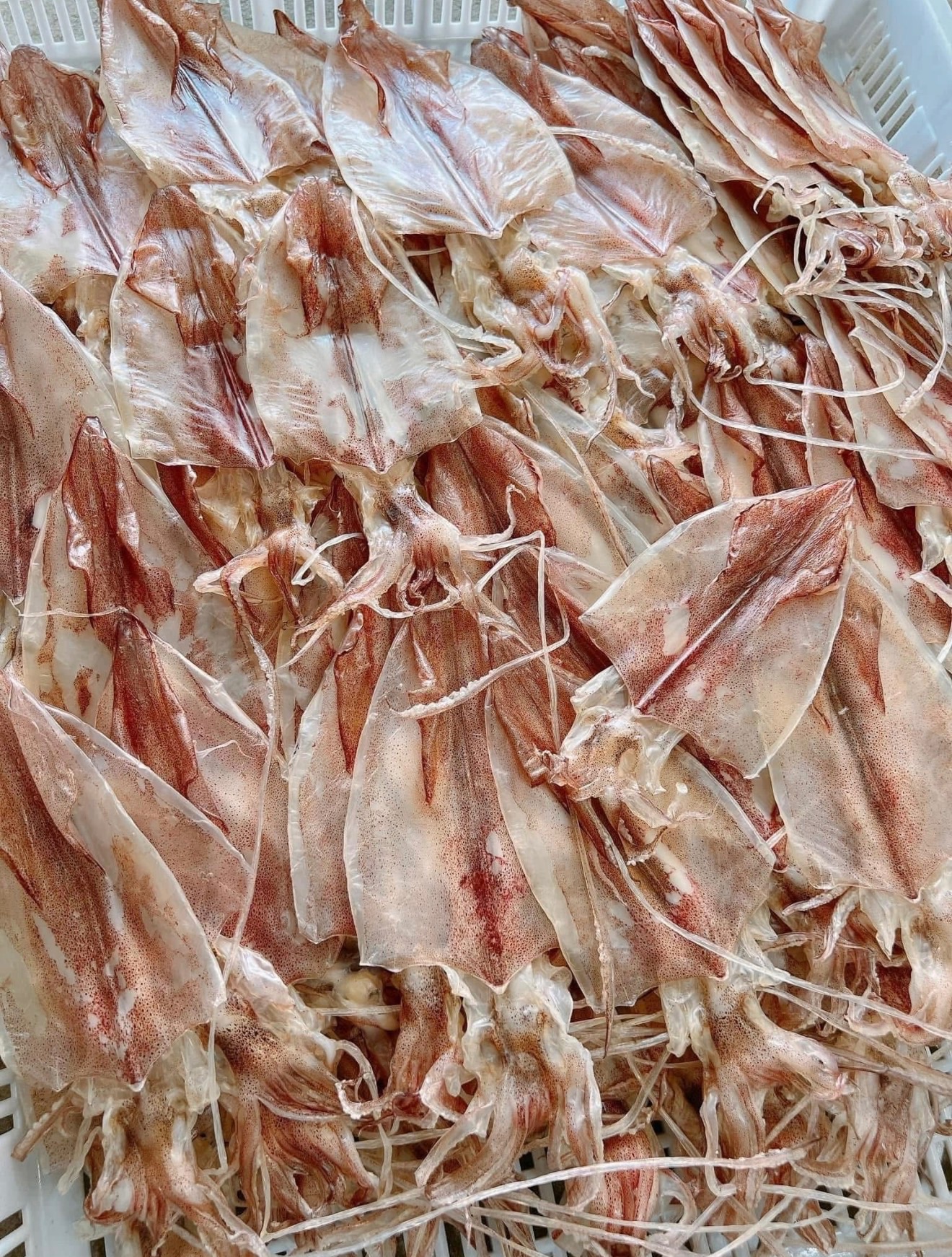 澎湖一日曬小卷乾