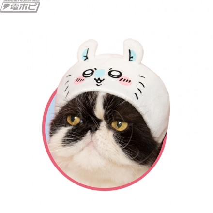 小桃貓咪頭套扭蛋