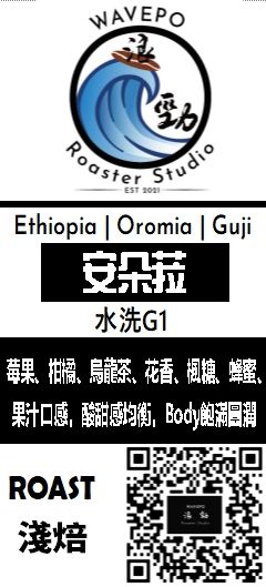 衣索比亞 歐洛米亞 谷吉 安朵菈 水洗G1
