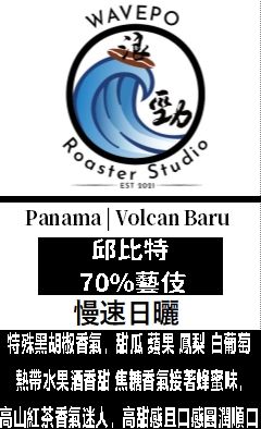 巴拿馬 巴魯火山產區 邱比特 70%藝伎 慢速日曬