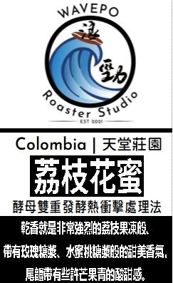 哥倫比亞 天堂莊園 迪亞哥 荔枝花蜜 酵母雙重發酵熱衝擊處理法