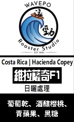 哥斯大黎加 HACIENDA Copey 科佩莊園 維拉薩奇F1日曬