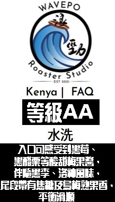 肯亞 AA FAQ 雙手手挑 水洗