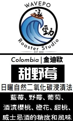 哥倫比亞 金迪奧 甜野莓 日曬自然二氧化碳浸漬法