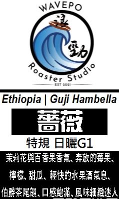 衣索比亞 古吉 罕貝拉 薔薇 日曬 特規 G1