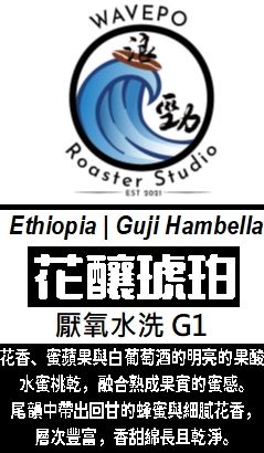 衣索比亞 古吉 烏拉嘎 花釀琥珀 厭氧水洗 G1