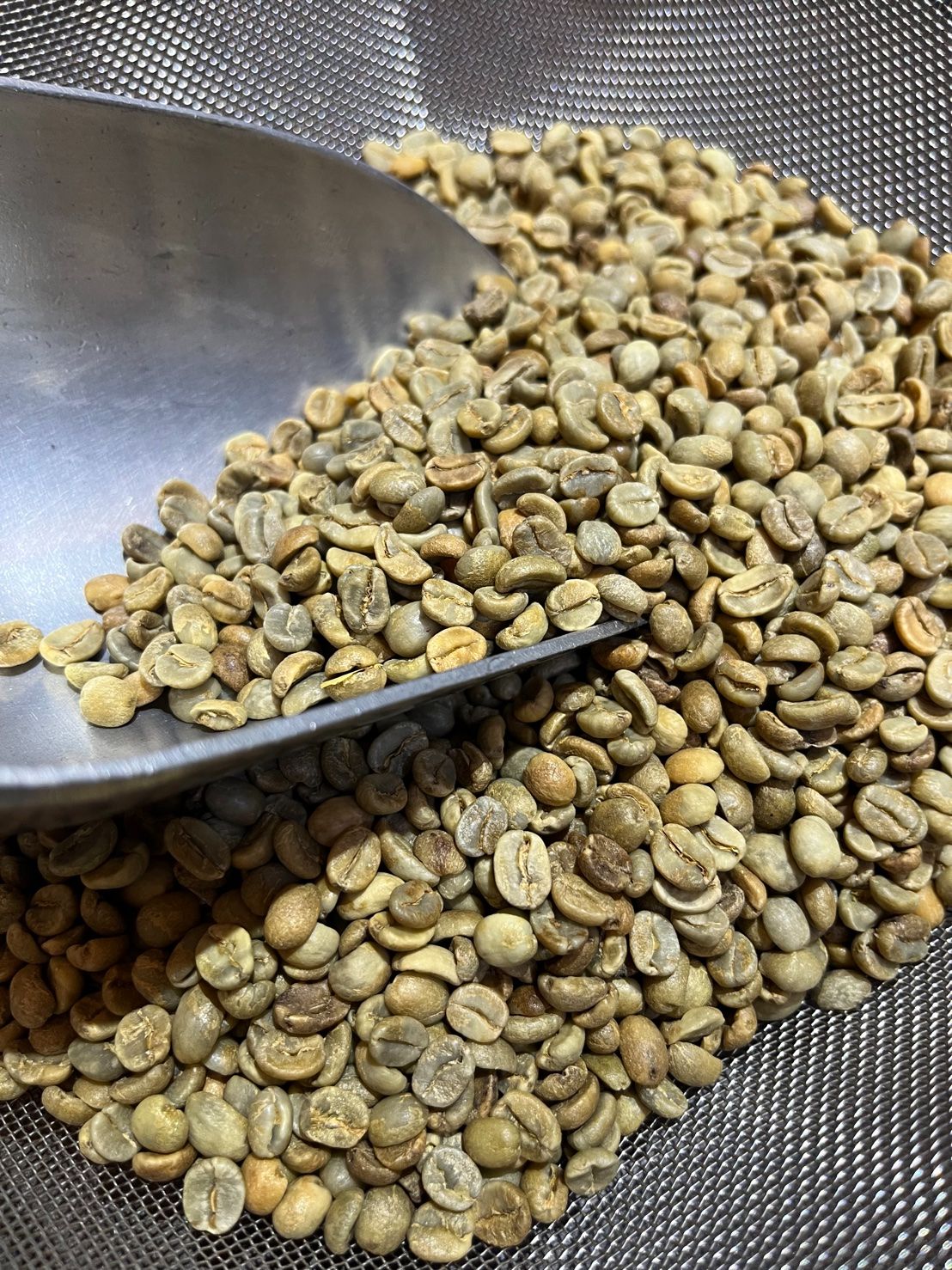 新批次！哥斯大黎加 卡內特 音樂家系列 莫札特 葡萄乾蜜處理