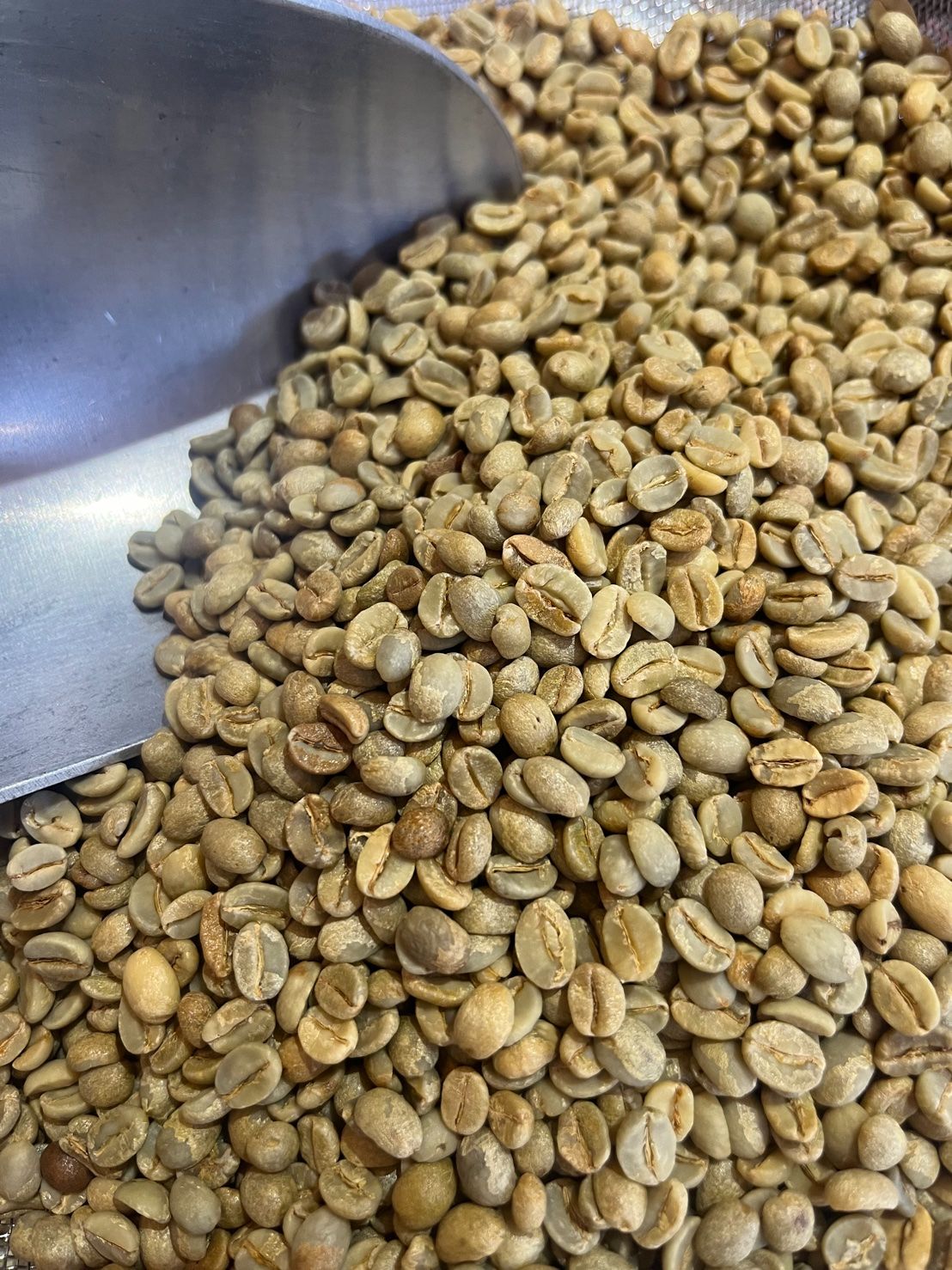 葉門 薩奈省 赫拉茲 馬娜卡 日曬