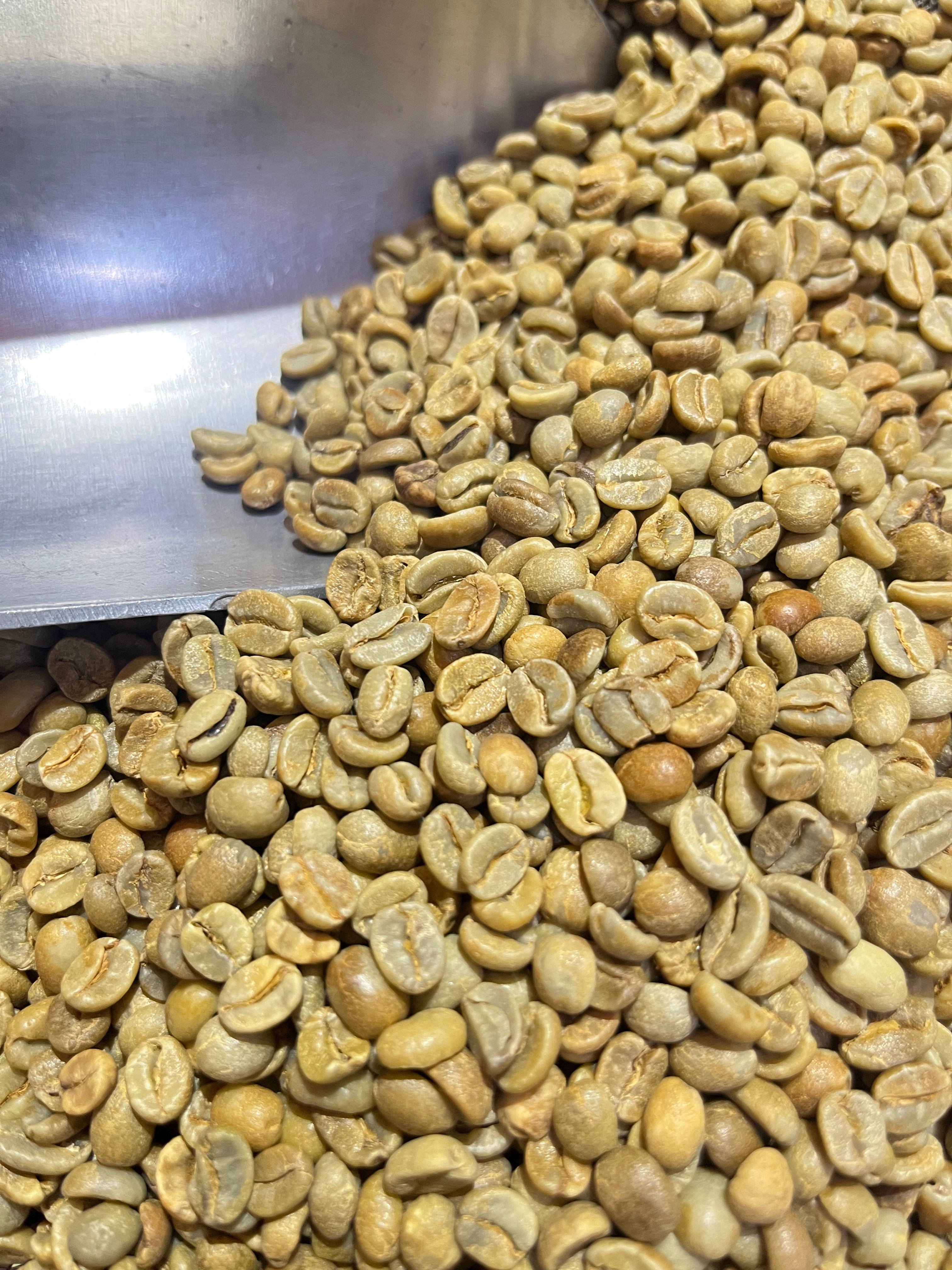 新到貨！哥斯大黎加 小蜜蜂 紅蜜處理 卡杜艾