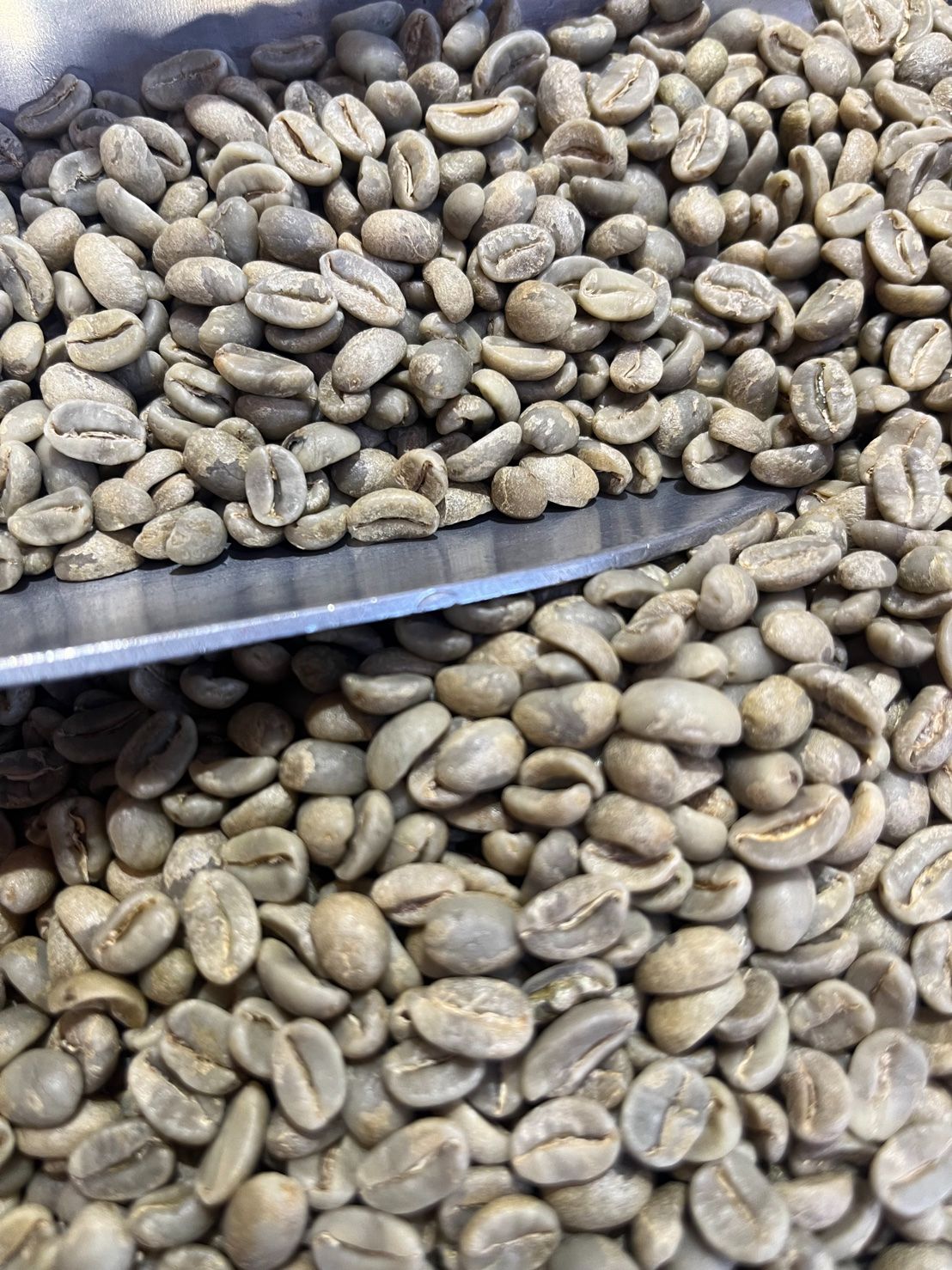 尼加拉瓜 米耶瑞詡 檸檬樹莊園 “花語” 紅卡杜依 水洗