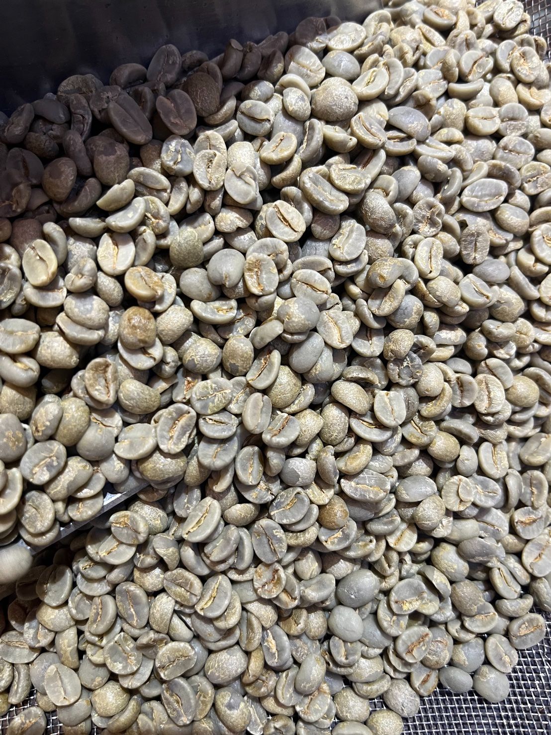 新產季~巴西 達特拉莊園 甜蜜總匯 半水洗