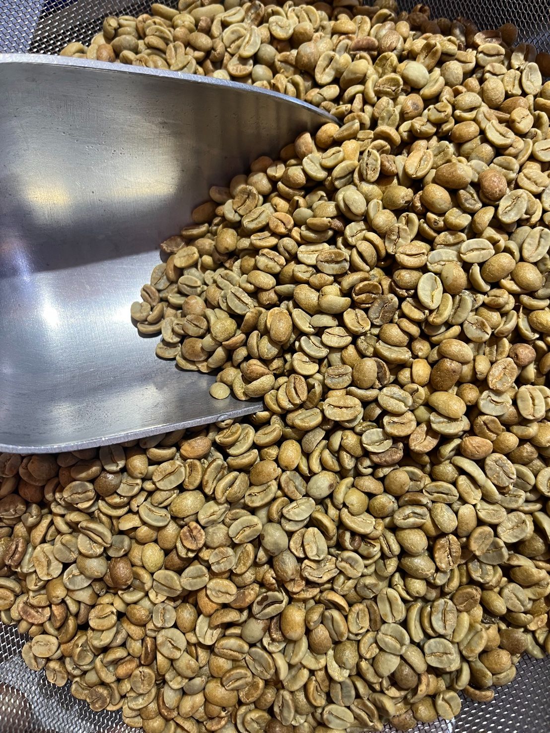 哥斯大黎加 布蘭卡 奇里波山谷 里瓦斯人處理廠 奇里波美景莊園 百香蜜處理 24年