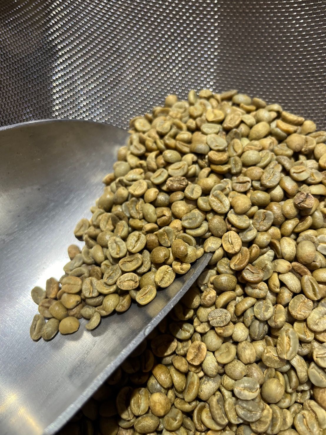 哥斯大黎加 托布希莊園 卡杜拉 日曬 25批次