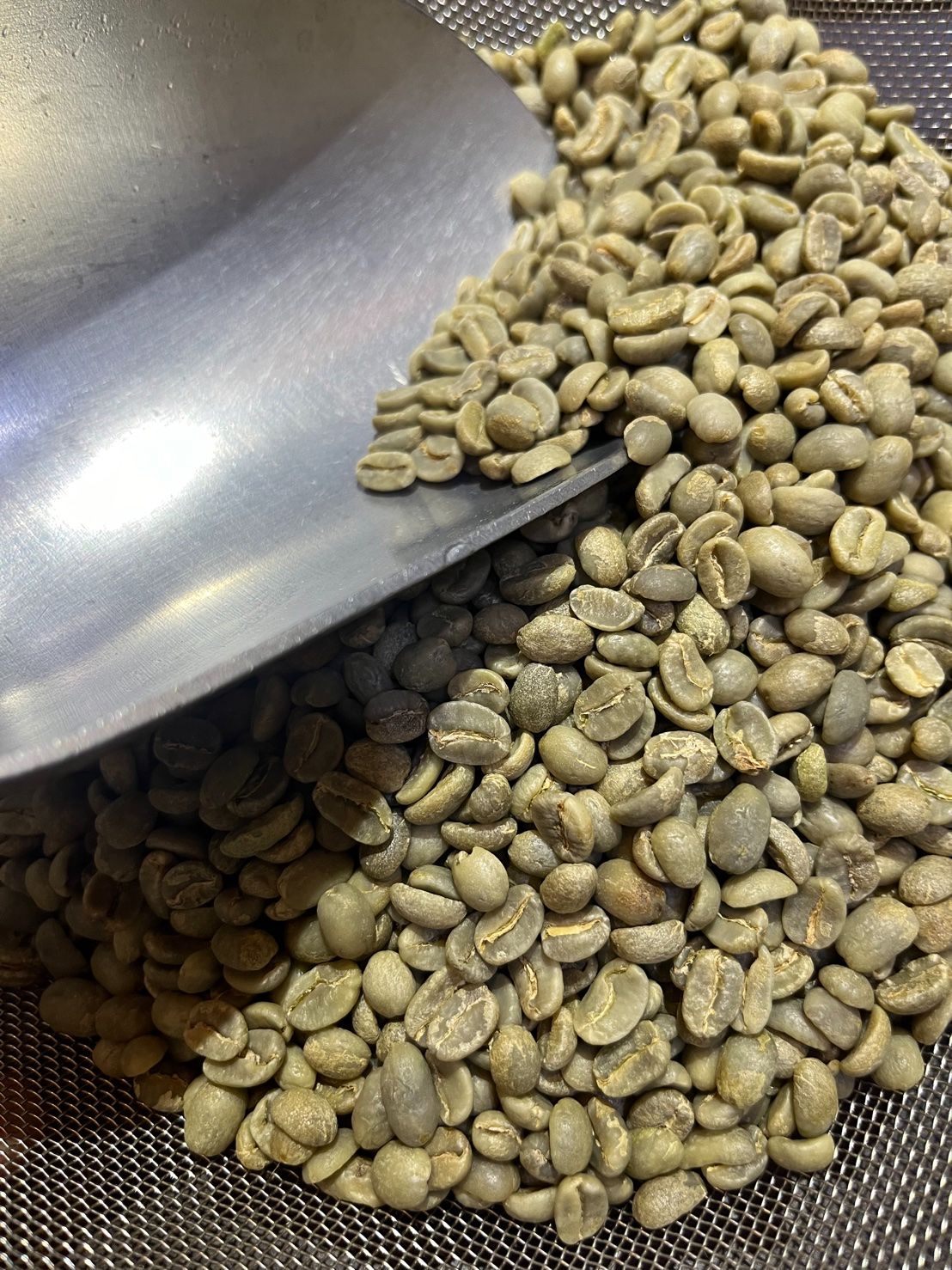 玫瑰跟荔枝爆炸！哥倫比亞 考卡 玫瑰香頌 釀酒酵母蜜處理 25/02批次