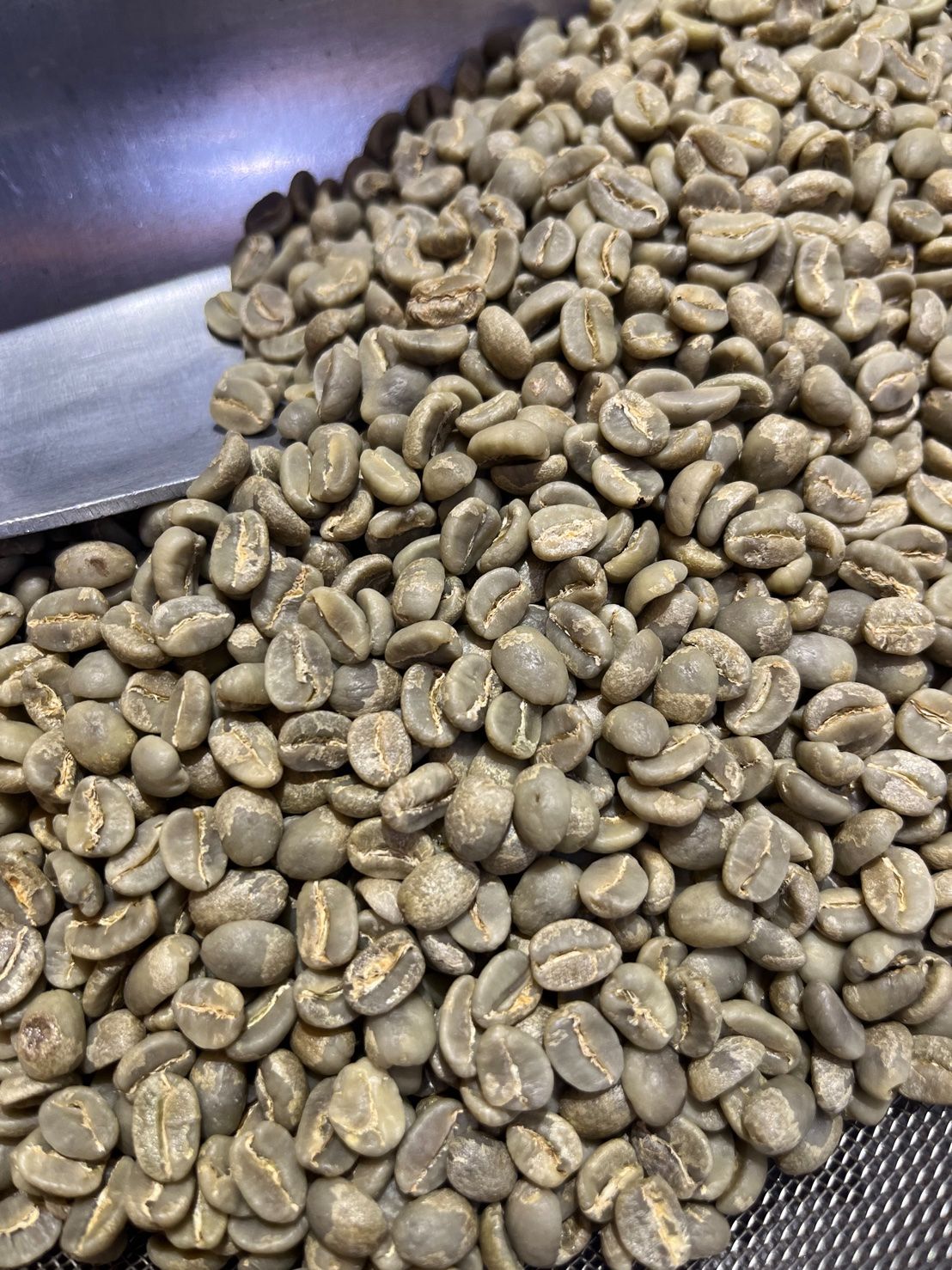 最後3公斤~肯亞 烏克栗栗/黑莓皇后 水洗 AA TOP 25/01批次