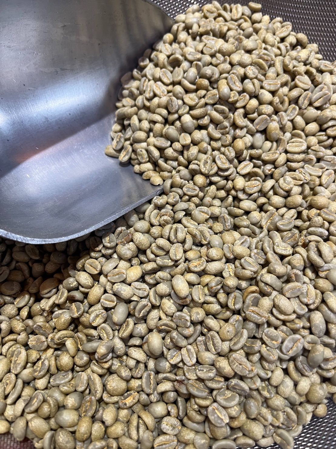 衣索比亞 古吉 水風鈴 紅蜜處理 G1 25/01批次