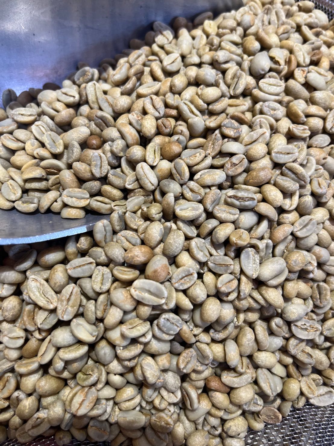 好好喝！伊索比亞 吉瑪莉姆 果美村 甜檸檬計畫 寶貝藝伎 日曬 G1 25批次