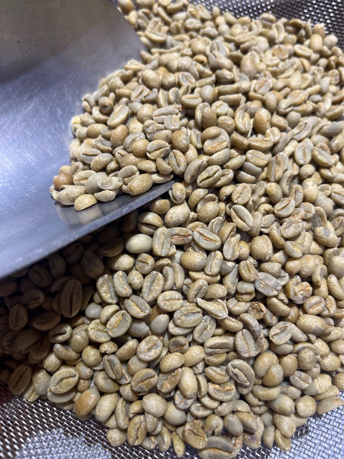 新上架！衣索比亞 耶加雪菲 蒨蒨蕾 花之韻 日曬 G1