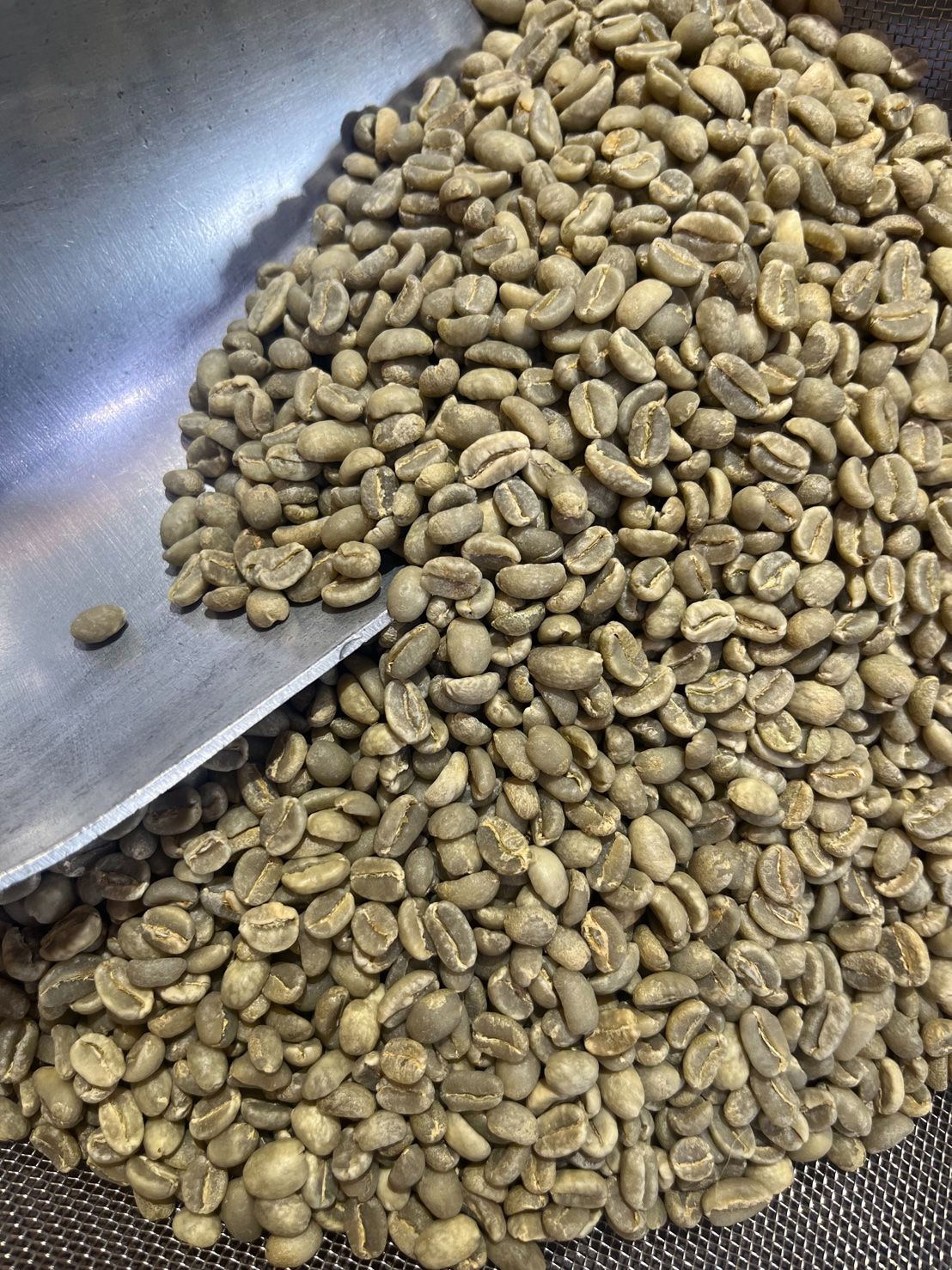 花香特別！衣索比亞 耶加雪菲 伊迪朵處理廠 水洗 G1