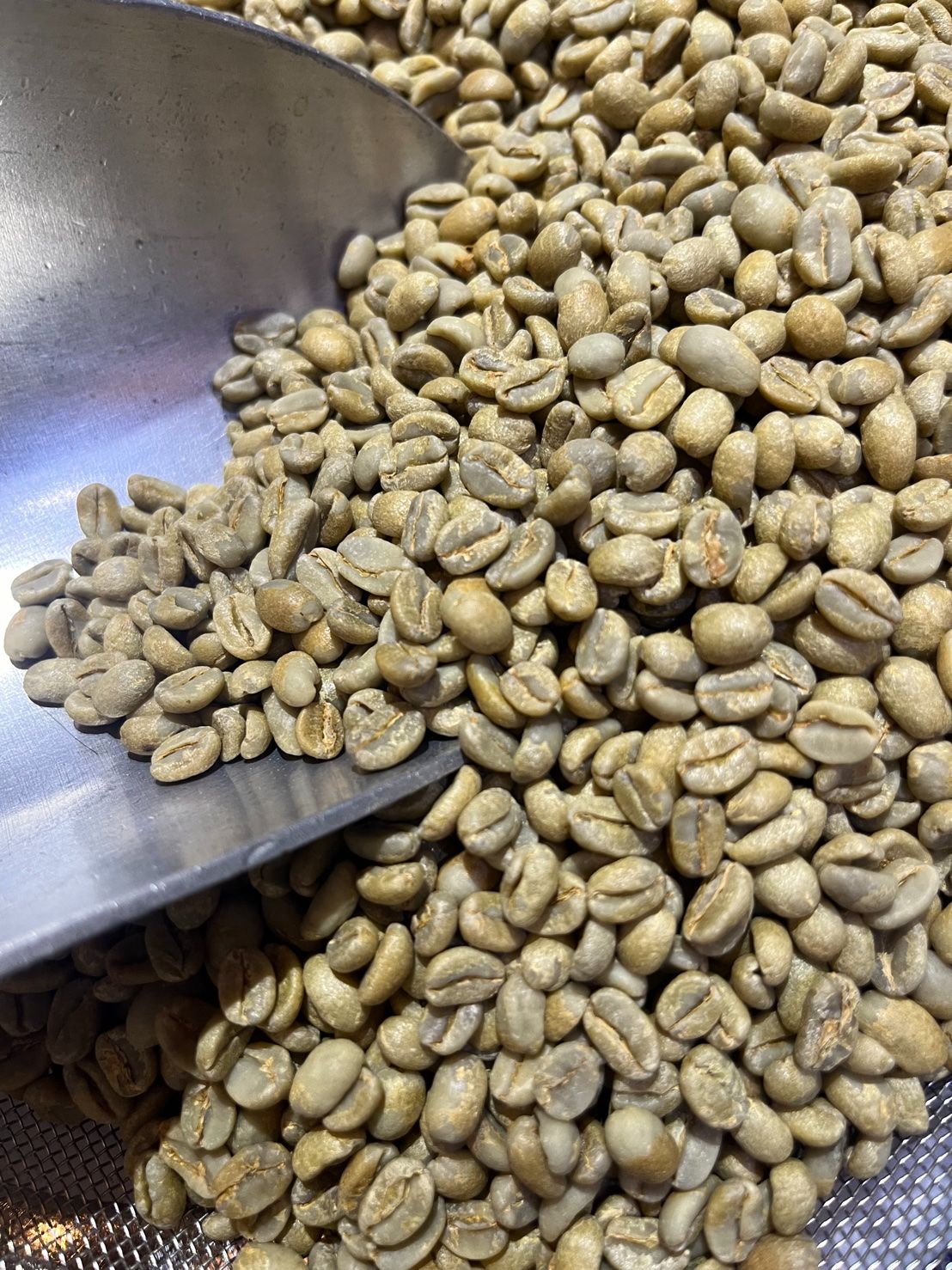 新上架！衣索比亞 古吉 布榖夏伊莎/山茶花 日曬 G1 25批次