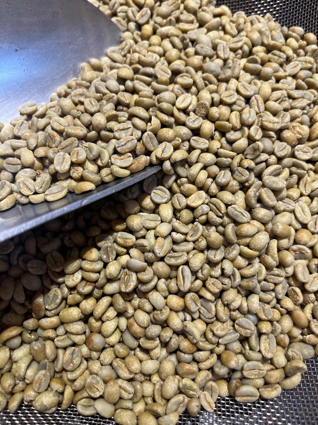 衣索比亞 西達摩 桃可可 日曬 G1 25/02批次