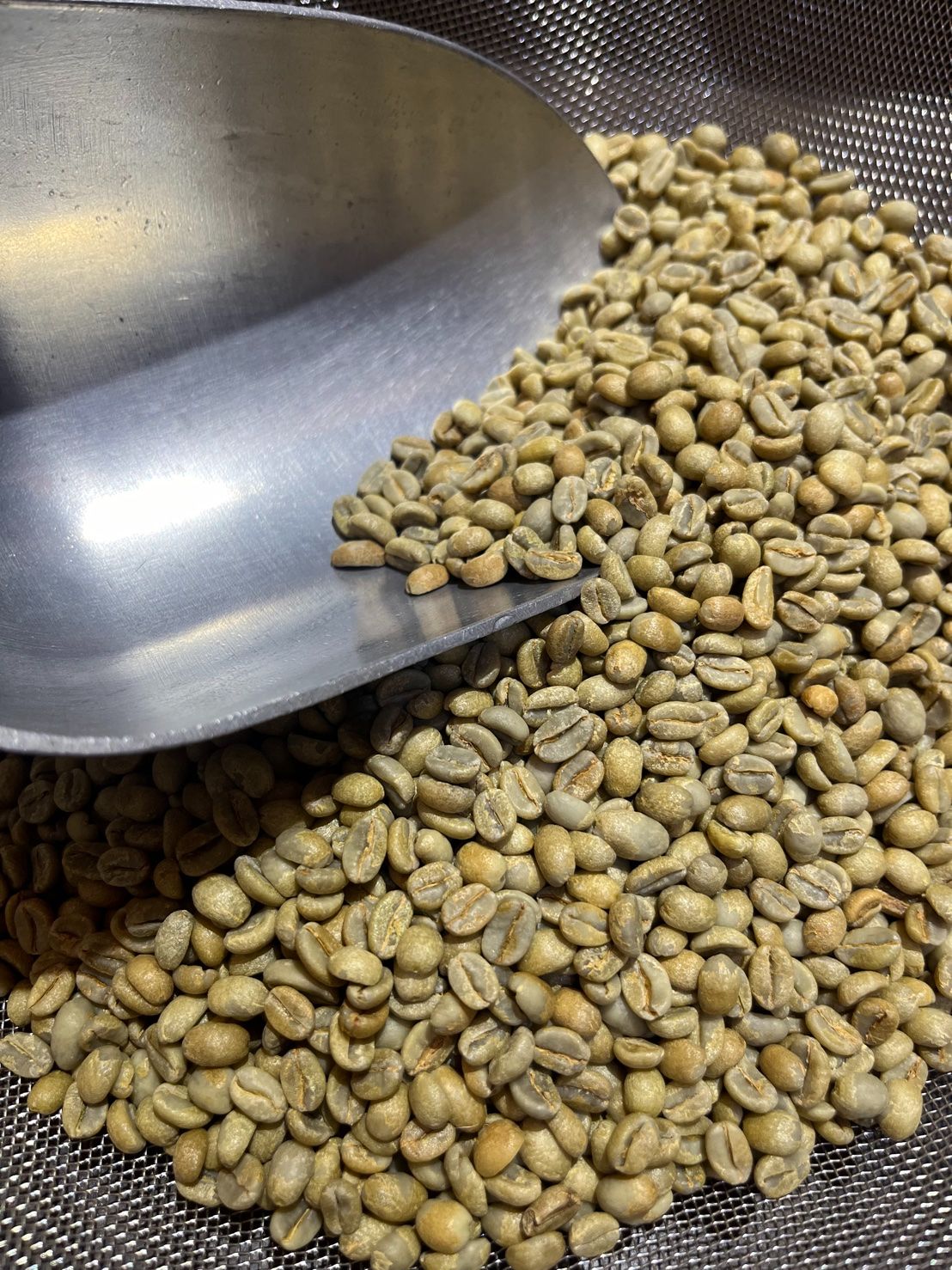 衣索比亞 古吉 紫風鈴 日曬 G1 25/03批次