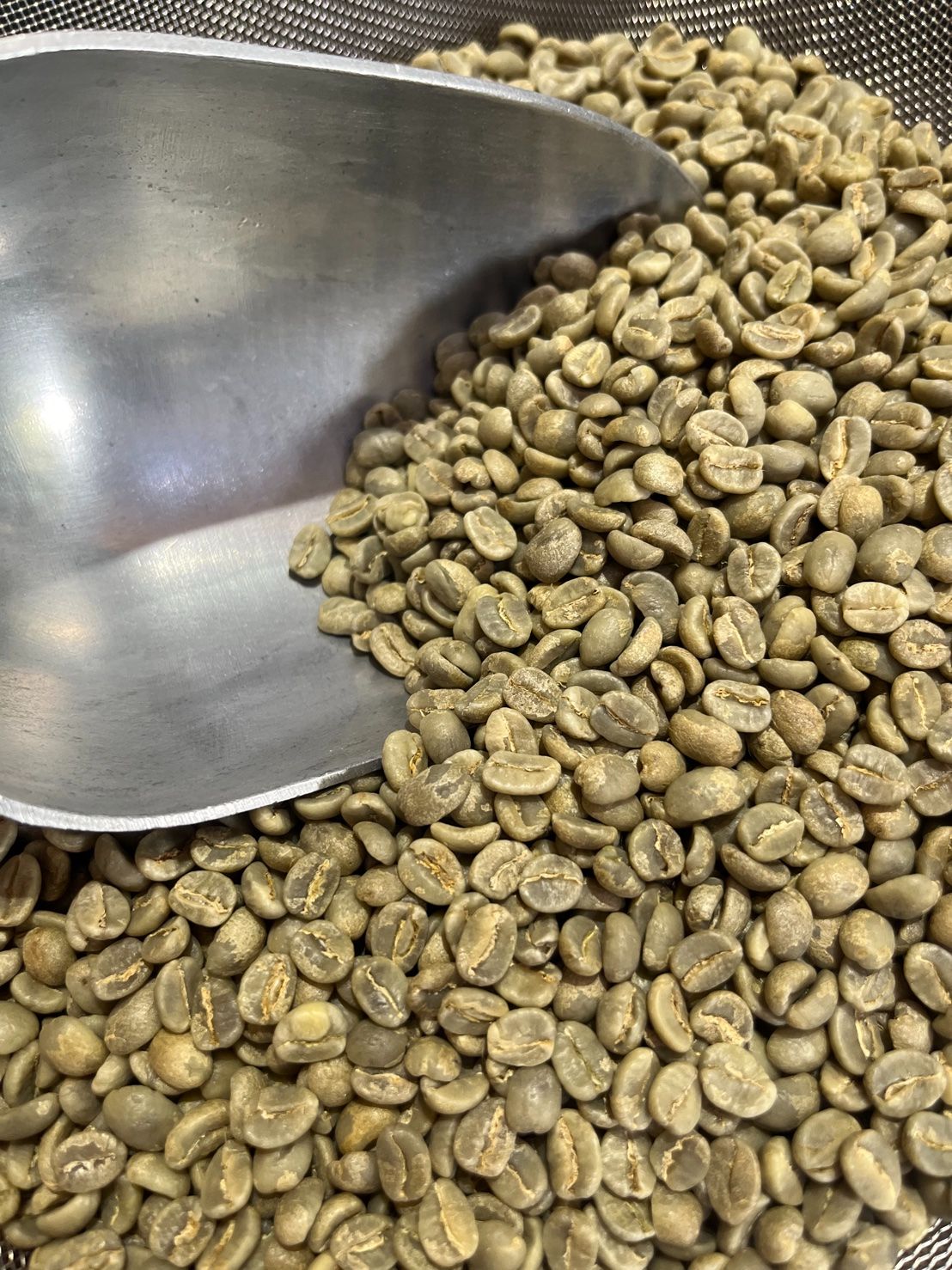 肯亞 AA TOP 多門處理廠 水洗