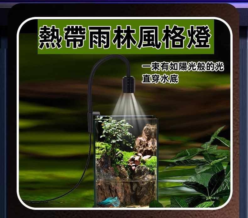 熱帶雨林風格燈