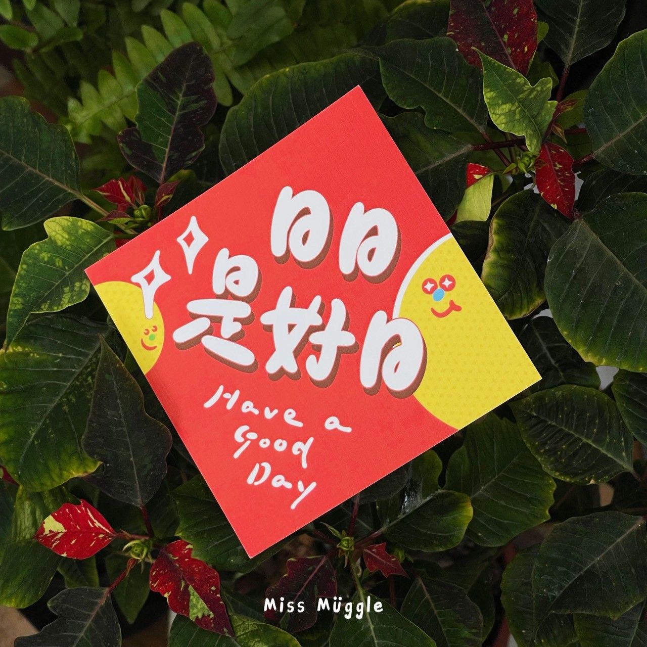 （⚡新品⚡） 手寫春聯‧₊˚⋆雙面賀卡【🚨價格低於蝦皮平台】