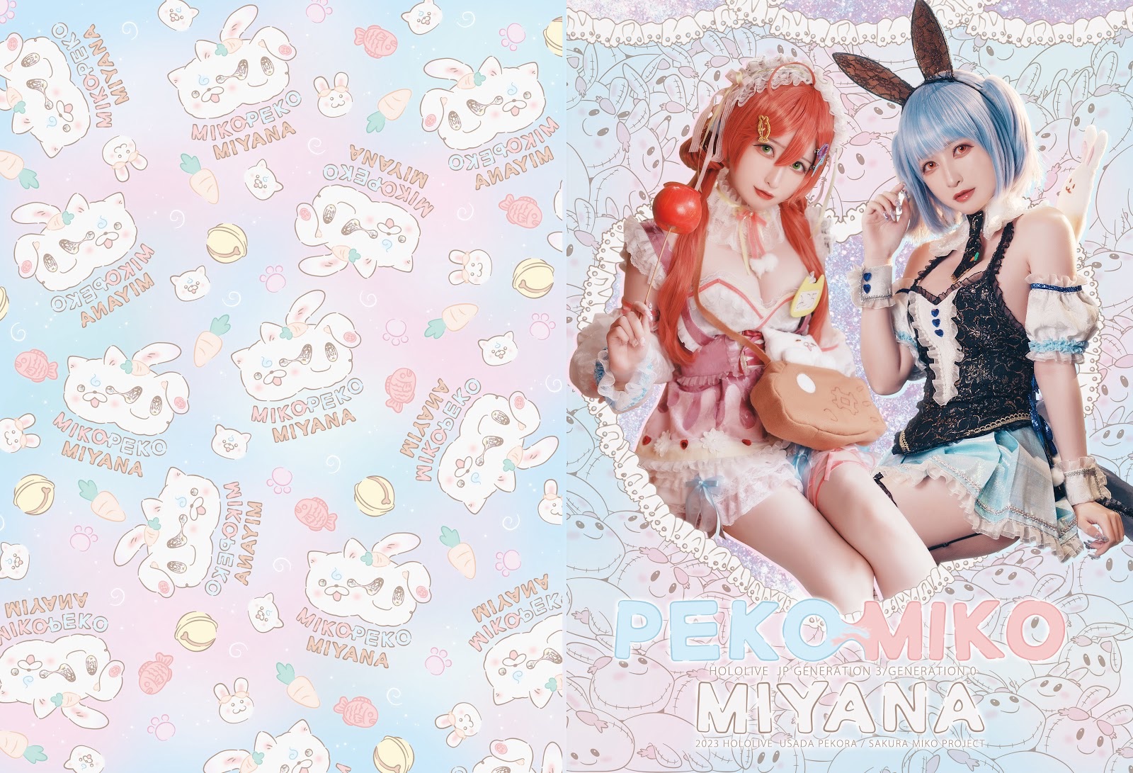 現貨 MIYANA咪呀 Hololive PEKOMIKO寫真書