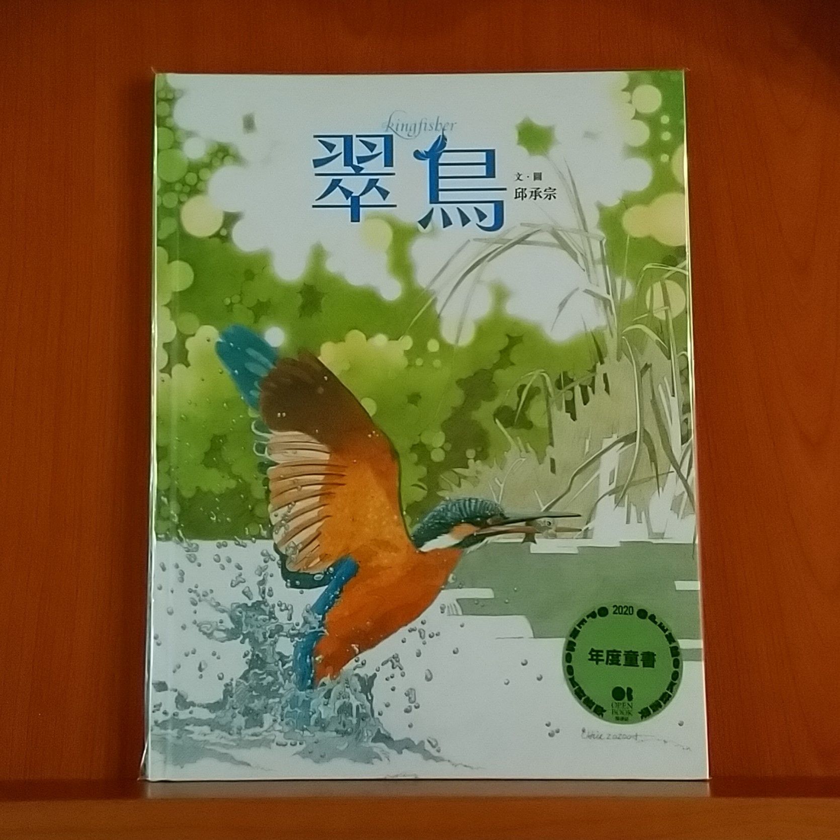 9789575036799_翠鳥_邱承宗_邱承宗_親子天下