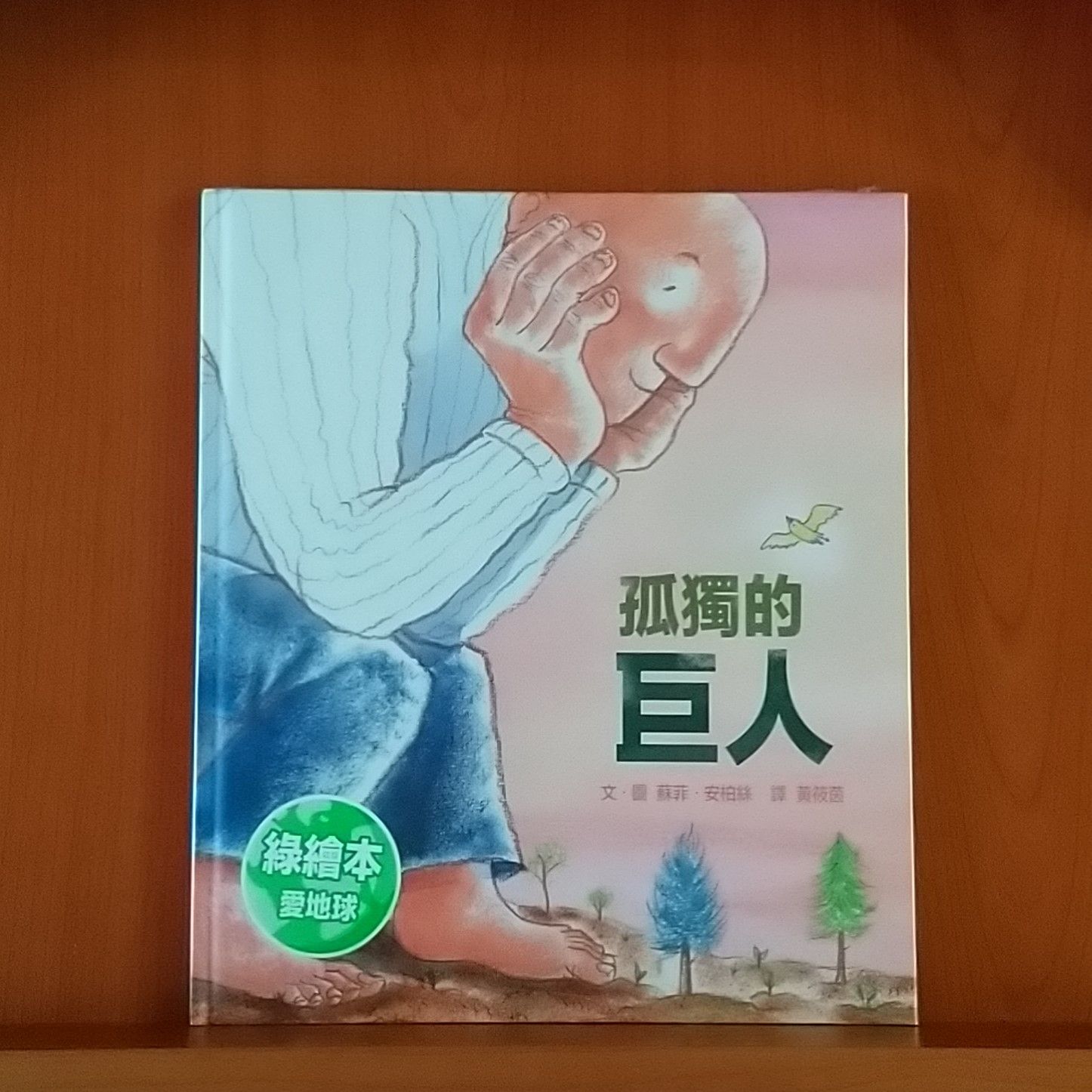 9789577625915_孤獨的巨人_蘇菲‧安柏絲_蘇菲‧安柏絲_上誼_300元