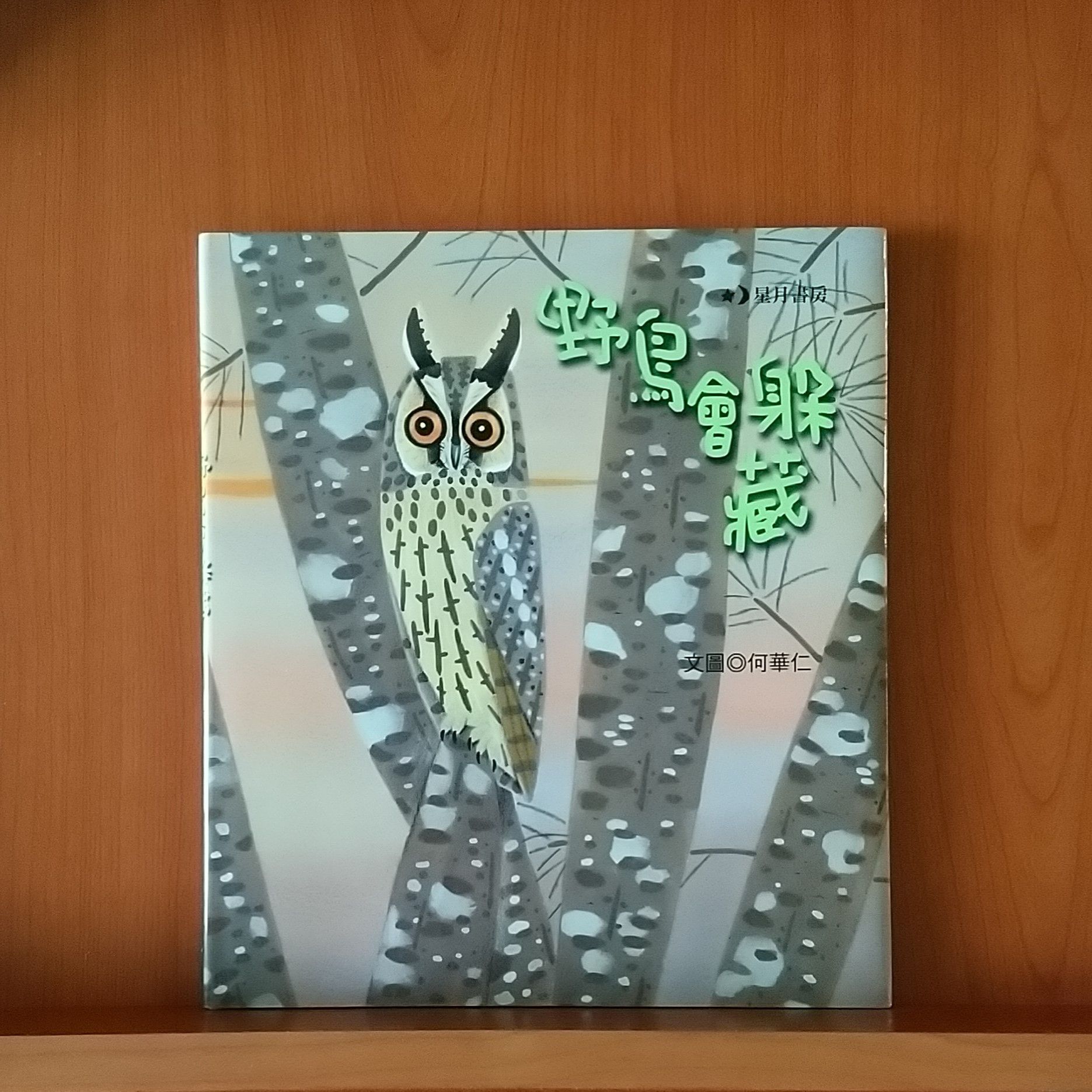 9789866789717_野鳥會躲藏_何華仁_何華仁_玉山社