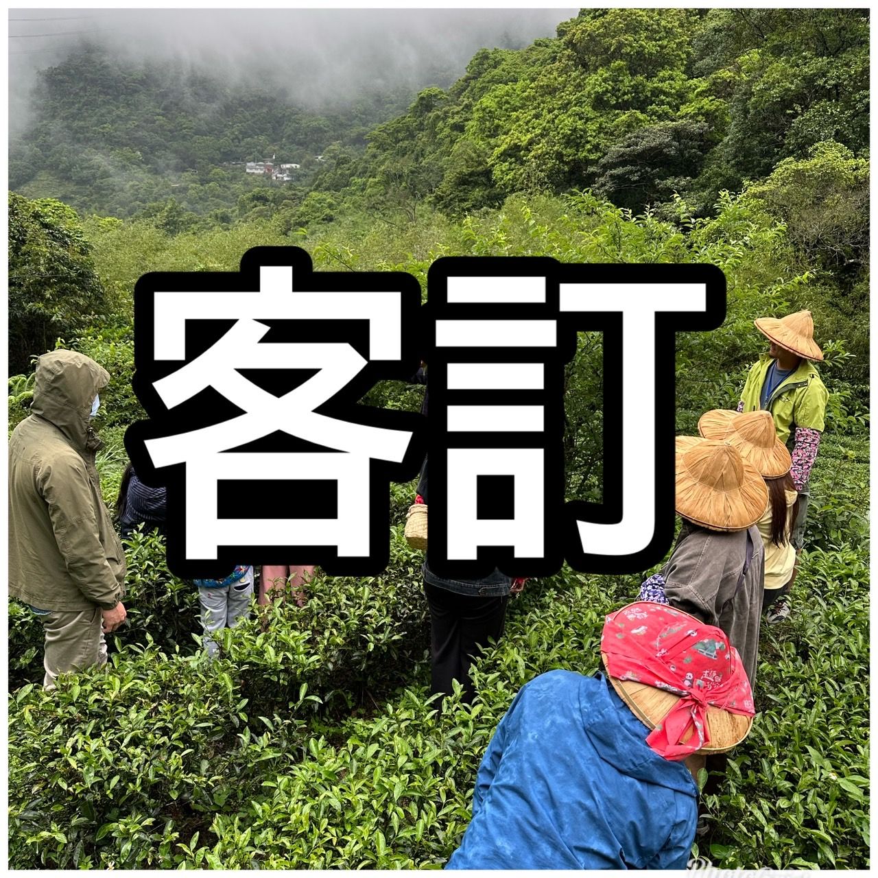 客訂專區