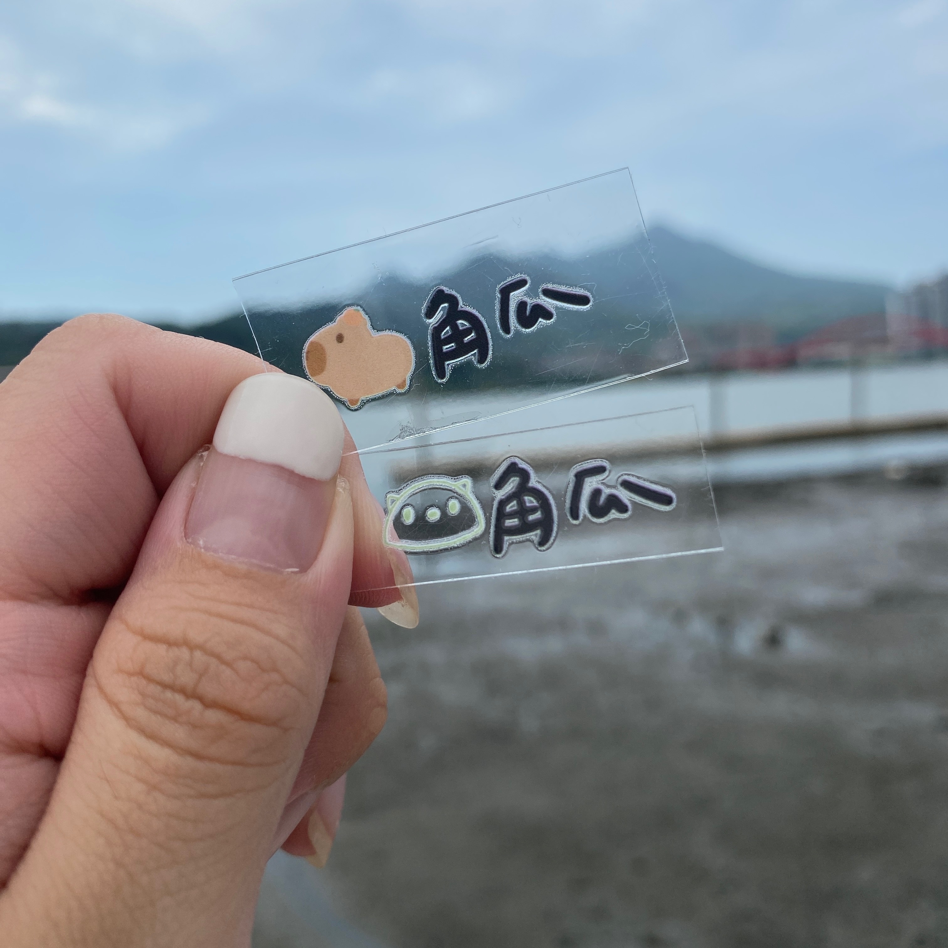 水晶轉印姓名貼（下單後請備註款式）點一下可以看說明及款式