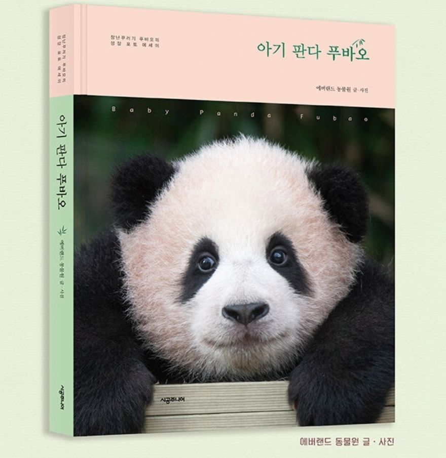 [FH] 熊貓寶寶福寶寫真書