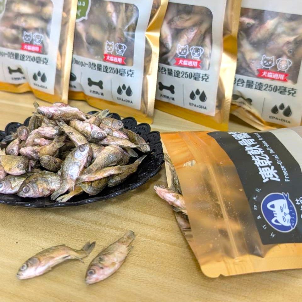 軟骨鯽魚鮮凍乾-寵物零食，貓咪最愛，屏東在地水產小農現撈現做