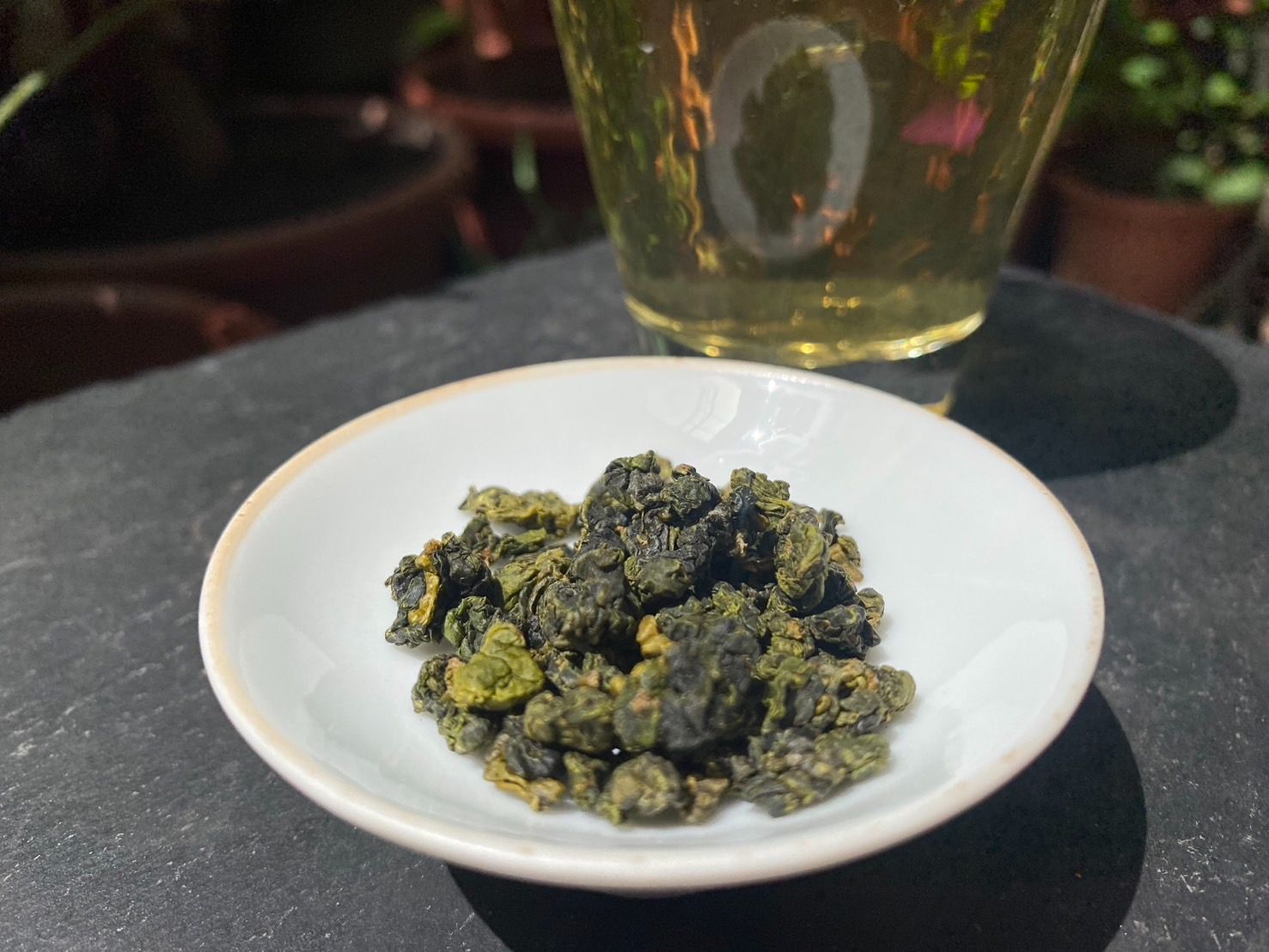 ＜千味藏茶＞2024年春茶 華崗青心烏龍 梨山茶 高山茶 烏龍茶
