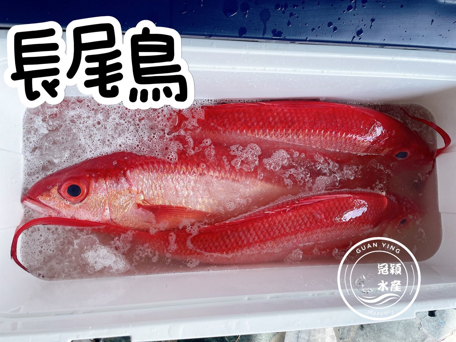 長尾鳥（取清肉）