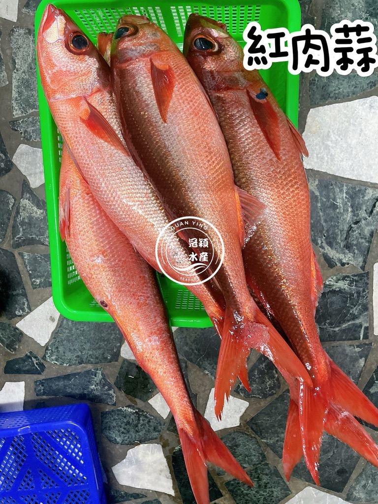 紅肉蒜