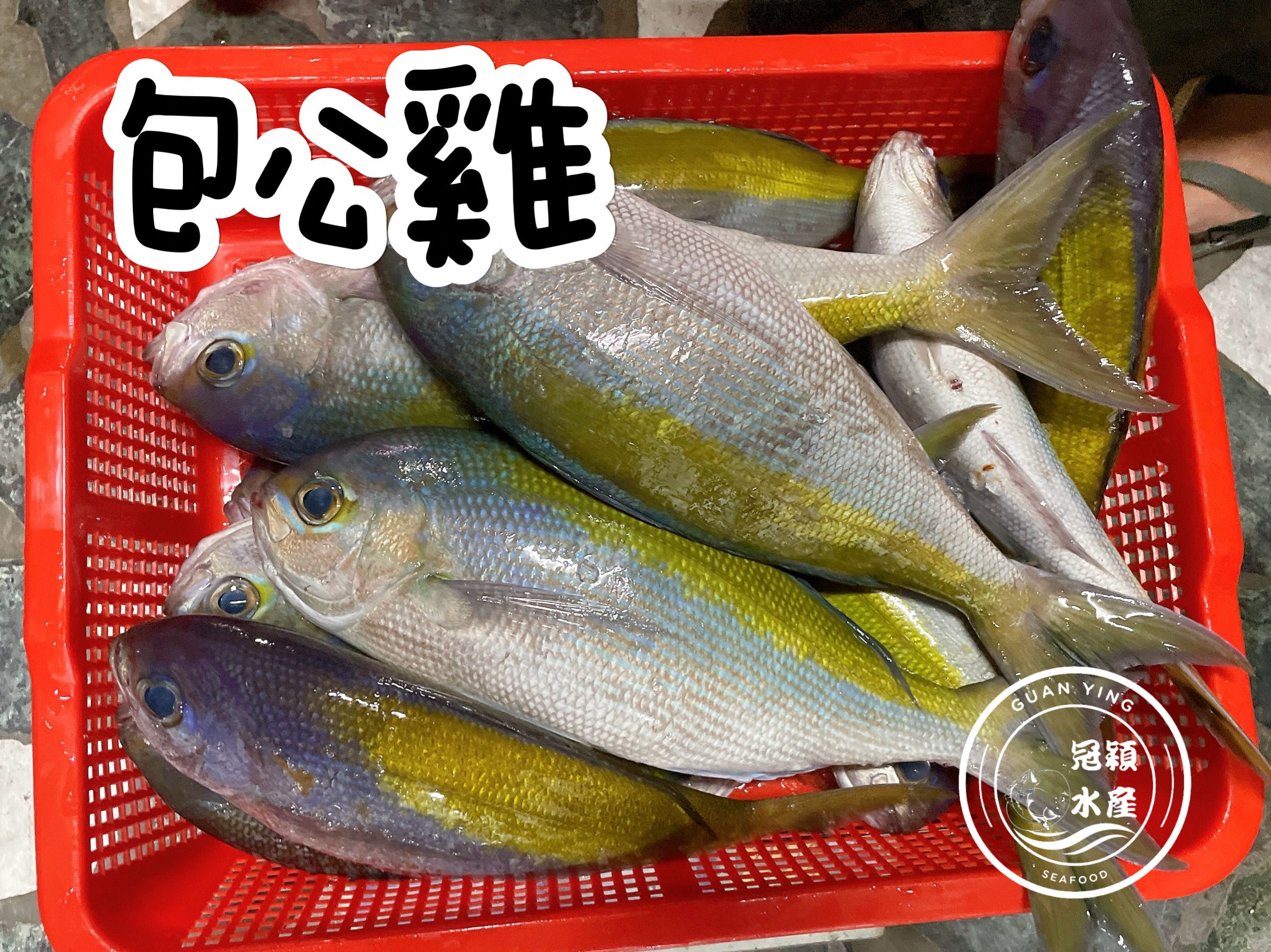 包公雞