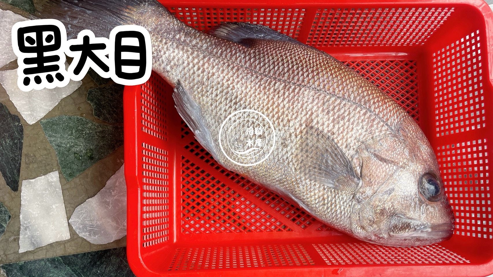 黑大目（取清肉）