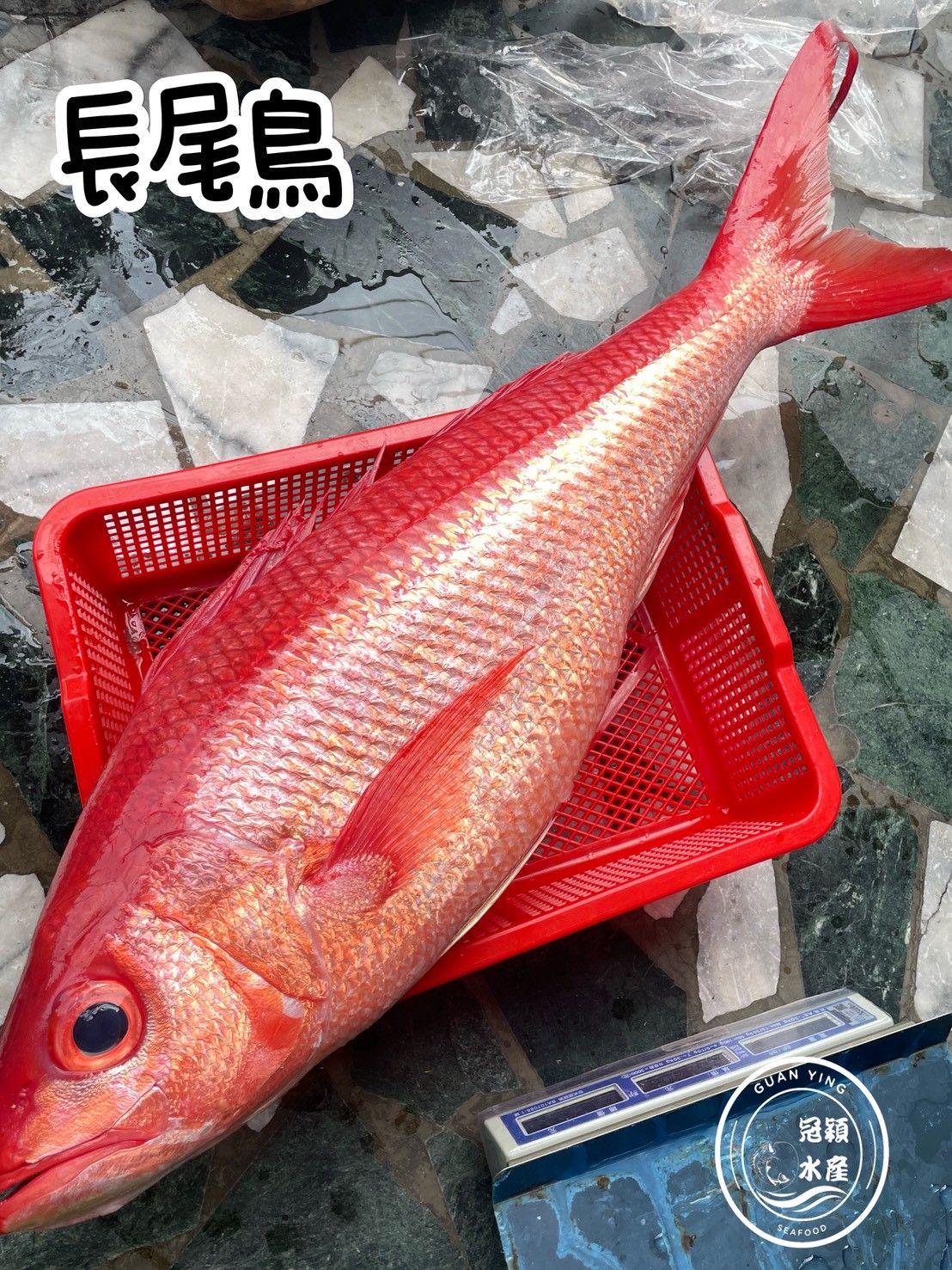 長尾鳥（取清肉）